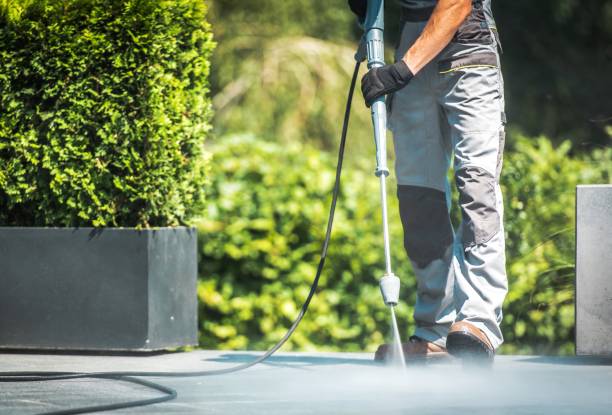 Best Solar Panel Cleaning  in Somerset, MD